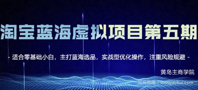 黄岛主淘宝虚拟无货源3.0+4.0+5.0，适合零基础小白，主打蓝海选品，实战型优化操作