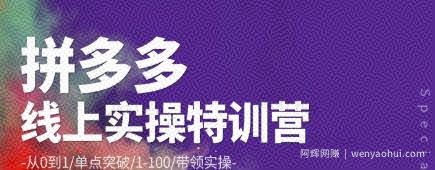 青云:拼多多运营实操特训营:从0到1/单点突破/1-100/带领实操价值2980元