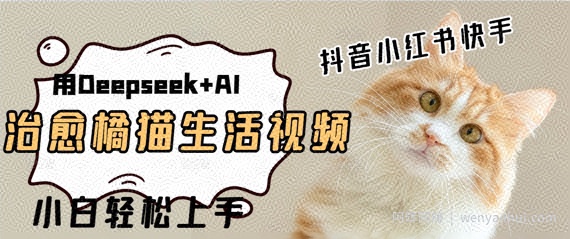 疯狂火爆，用Deepseek+AI做治愈橘猫系列视频，小白轻松制作+快速拿到结果