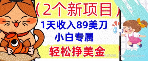 2个新项目，轻松挣美金， 1天收入89美刀，小白专属，干货分享