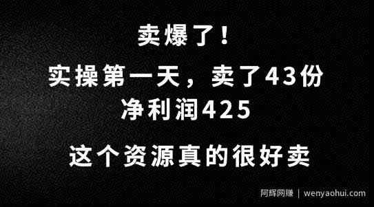 这个资源，需求很大，实操第一天卖了43份，净利润425【揭秘】