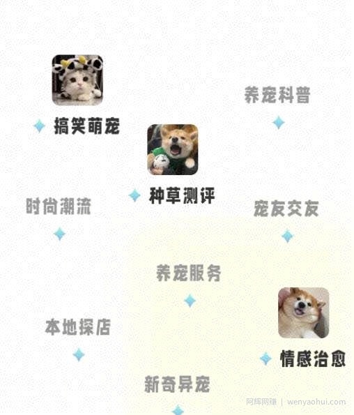 宠胖胖撸金项目，新平台放水，无脑搬砖，日入100+