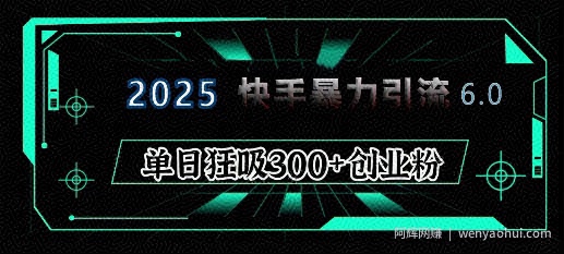 2025年快手6.0保姆级教程震撼来袭，单日狂吸300+精准创业粉