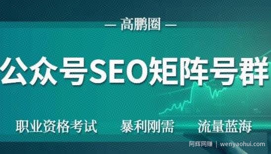 高鹏圈公众号SEO矩阵号群，实操20天纯收益25000+，普通人都能做
