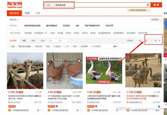 兼zhi做淘宝,从月入五千到实现财务自由