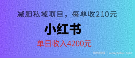 小红书减肥私域项目，每单210元，单日可卖出15单，利润3150