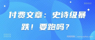 付费文章：史诗级暴跌！要跑吗？