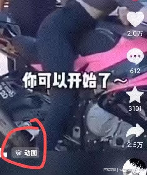 2024年7月苹果手机动图搬运技术