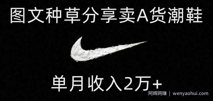 靠图文种草分享卖A货潮鞋，每天一小时，单月收入2万+【揭秘】