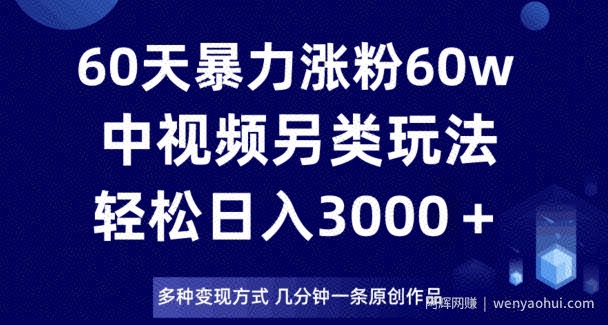 60天暴力涨粉60W，中视频另类玩法，日入3000＋，几分钟一条原创作品多种变现方式