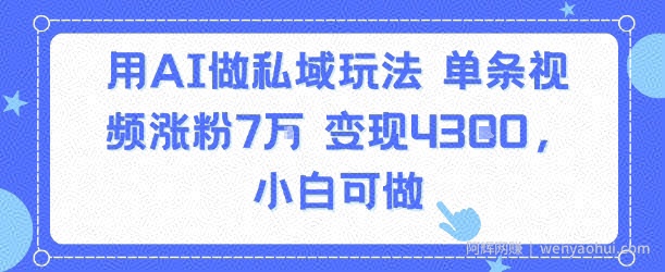 用AI做私域玩法，单条视频涨粉7W变现4.3k，小白可做