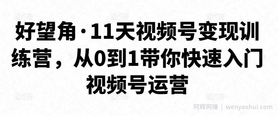 好望角·11天视频号变现训练营，从0到1带你快速入门视频号运营