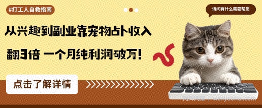 从兴趣到副业靠宠物占卜收入翻3倍一个月纯利润破W