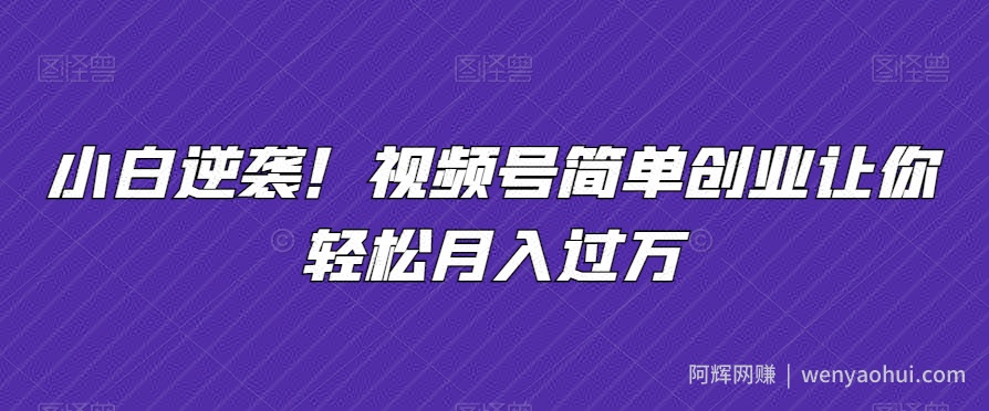 小白逆袭！视频号简单创业让你轻松月入过万