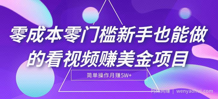 零成本零门槛新手也能做的看视频赚美金项目，轻松月赚5W+【视频教程】