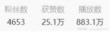 日赚100+的视频賺米项目，神评论合集视频，可批量放大
