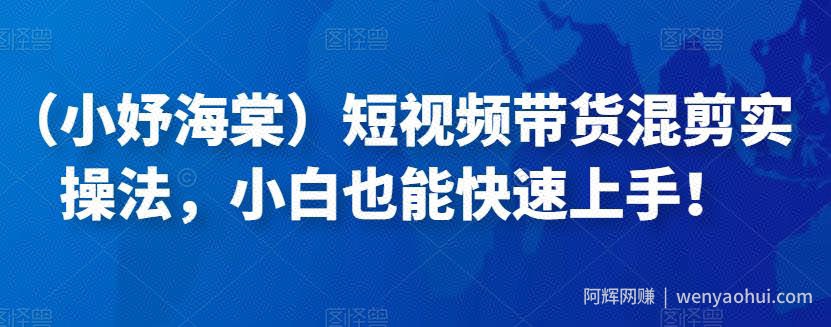 （小妤海棠）短视频带货混剪实操法，小白也能快速上手！