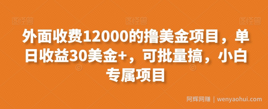 外面收费12000的撸美金项目，单日收益30美金+，可批量搞，小白专属项目