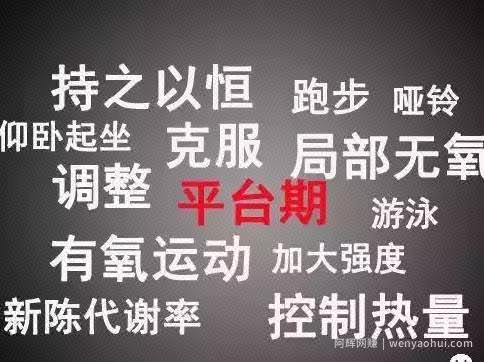 学会搭建朋友圈，微商之路才好走