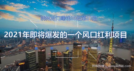 晓林冷门賺米36招第27招2021年即将爆发的一个风口红利项目【视频课程】