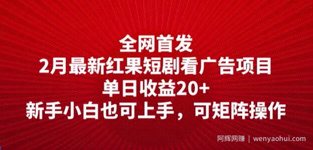 全网首发，2月最新红果短剧看广告项目，单日收益20+，新手小白也可上手，可矩阵操作