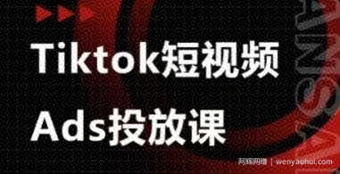 Ads视频投放课，tiktok短视频广告投放课