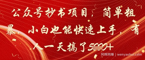 公众号抄书项目，简单粗暴，小白也能快速上手，有人一天搞了1k+