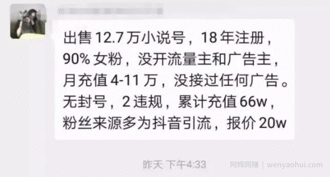 暴力小说分销项目，月赚几万，一个账号交易高达几十万