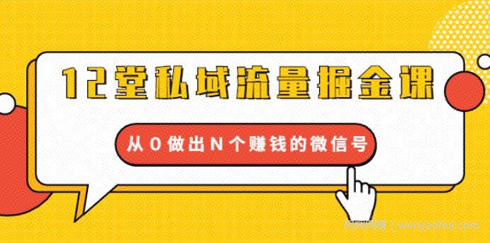 12堂私域流量掘金课：打通私域４大关卡，从0做出N个賺米的微信号【完结】