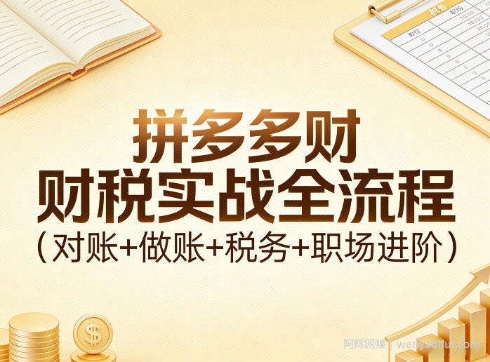 拼多多财税实战全流程（对账+做账+税务+职场进阶）