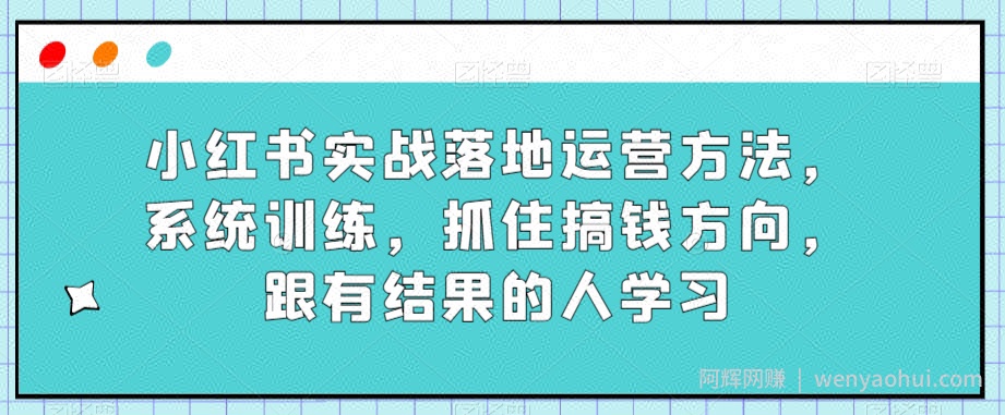 小红书实战落地运营方法，系统训练，抓住搞钱方向，跟有结果的人学习