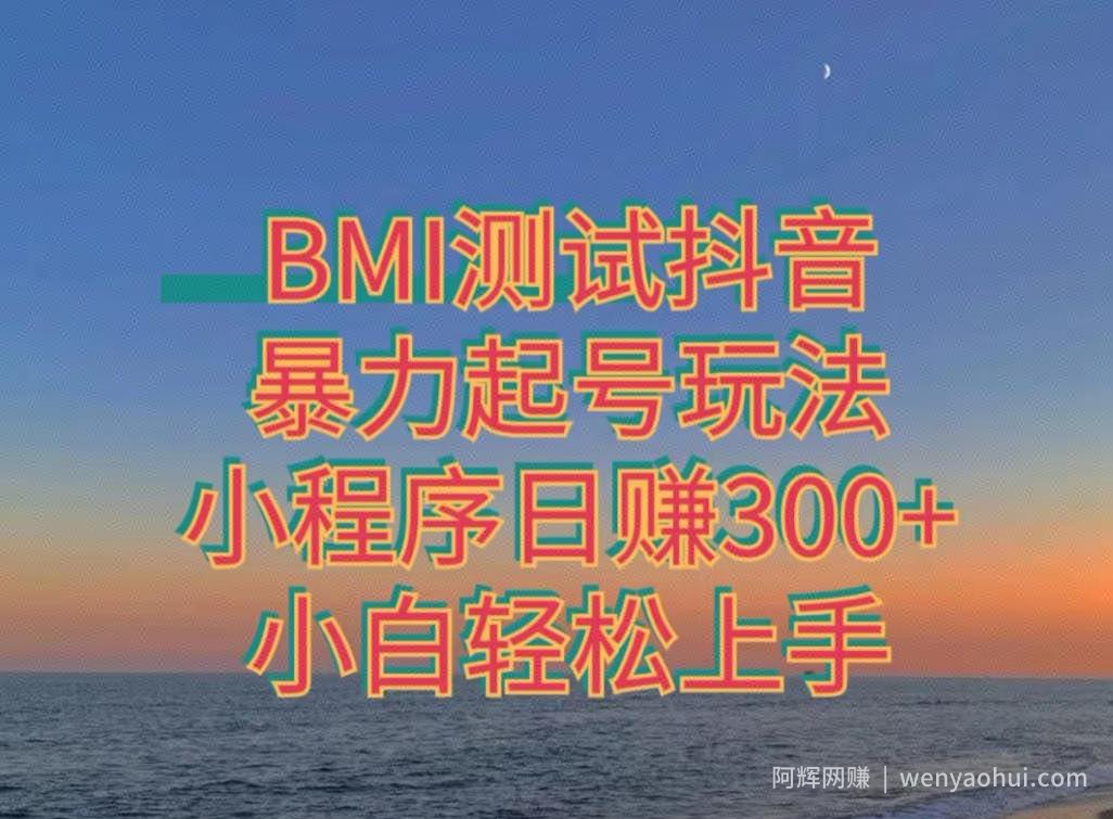 神图抖音小程序项目4.0版引流，日入300+暴力玩法小白轻松上手