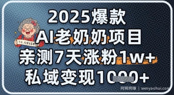 2025爆款 AI 老奶奶项目：亲测 7 天涨粉 1W+，私域变现 1k+