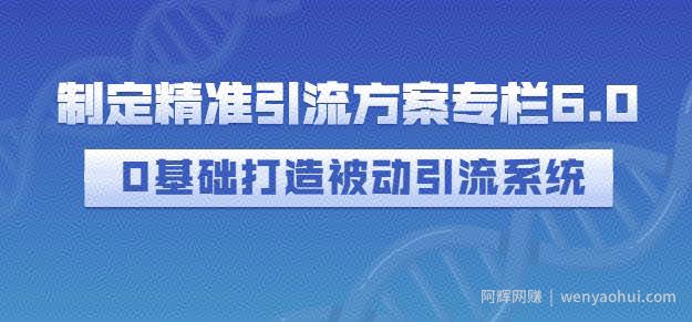 制定精准引流方案专栏6.0，0基础打造被动引流系统