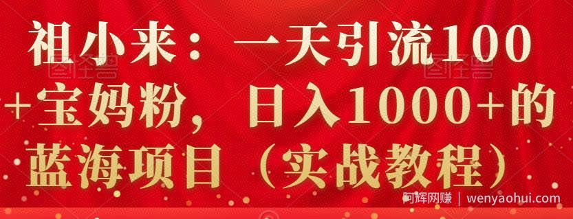 祖小来：一天引流100+宝妈粉，日入1000+的蓝海项目（实战教程）