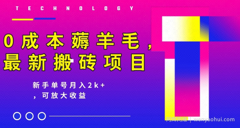 0成本薅羊毛，最新搬砖项目，新手单号月入2k+，可放大操作