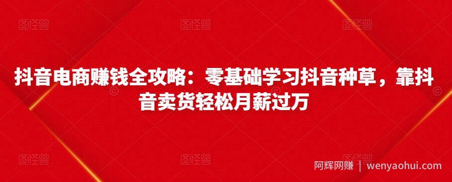 抖音电商賺米全攻略：零基础学习抖音种草，靠抖音卖货轻松月薪过万